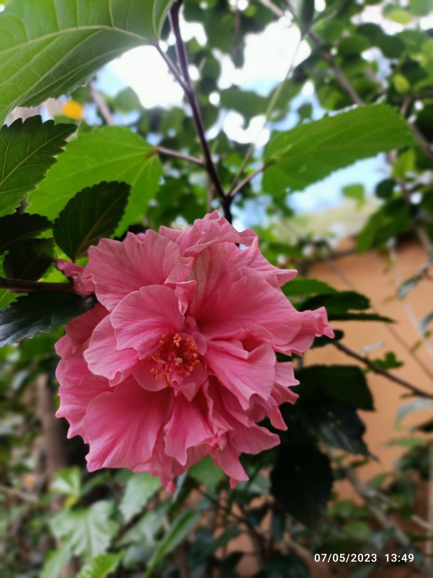 La Casa De La Nonna 3* Quito